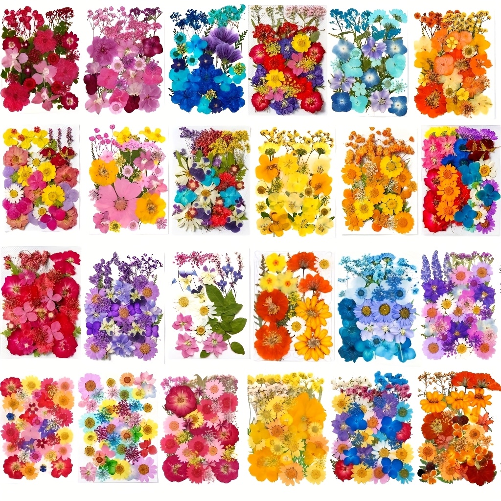 Art Craft Halloween - 500pcs of Random Materials for Pressed