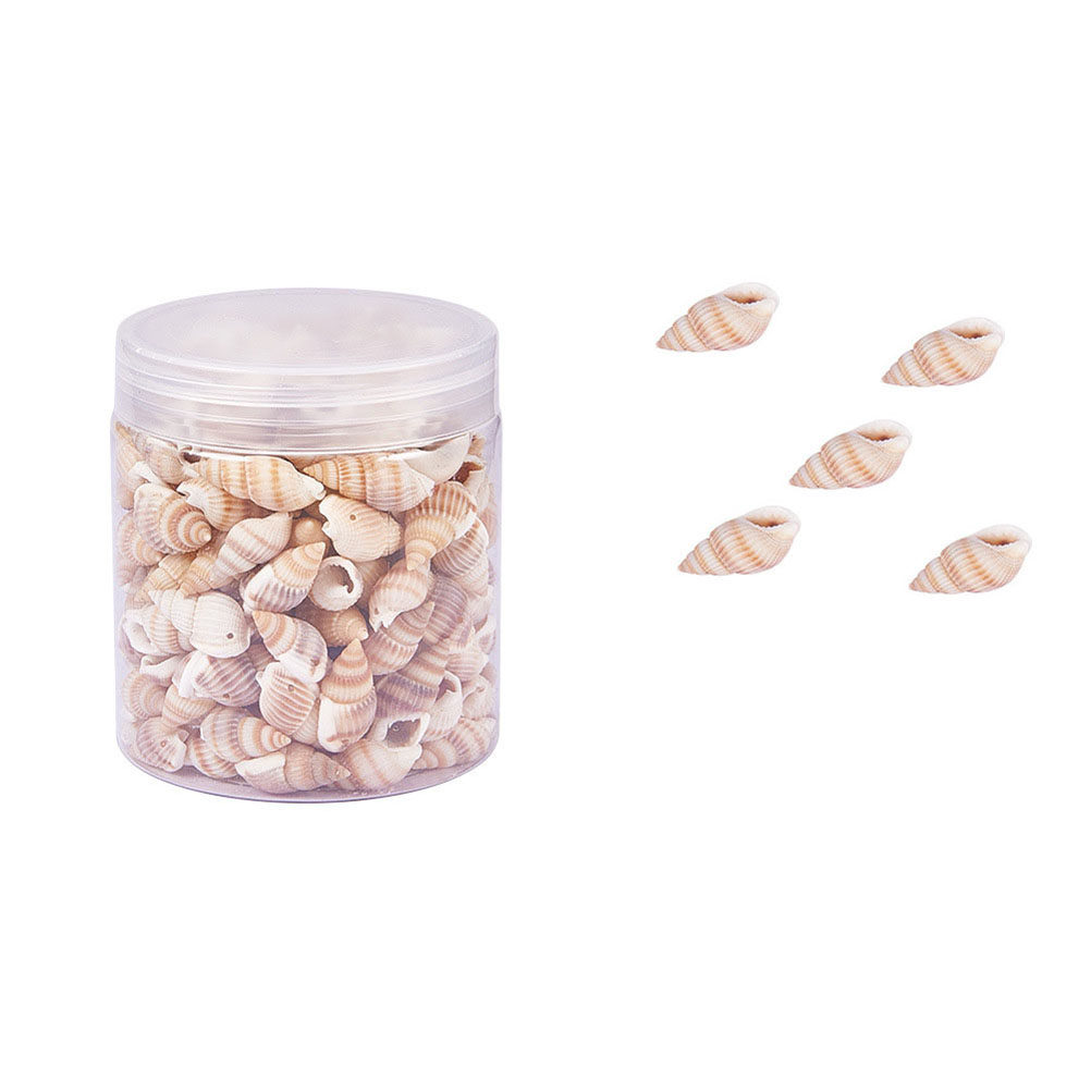 1 Box Natural Mini Seashells C - огляд і ціна Art Craft Gallery