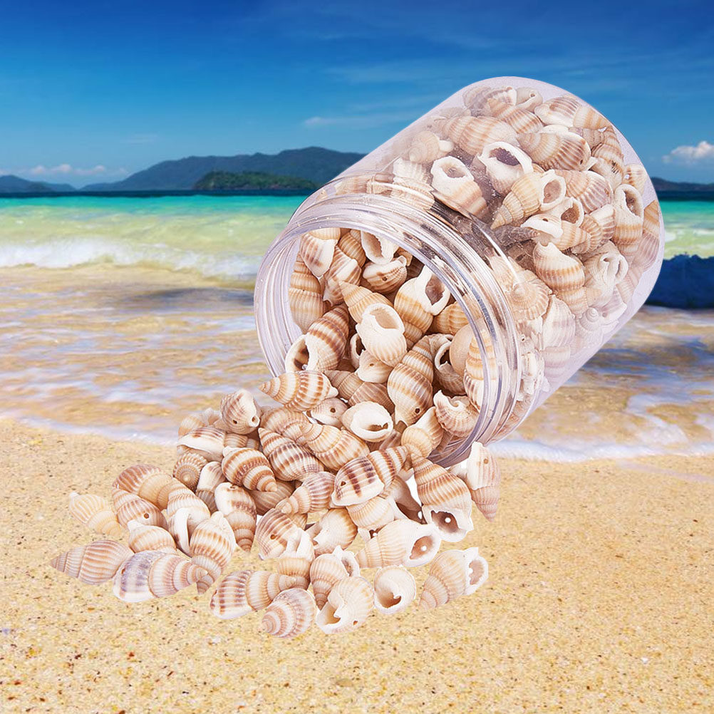 1 Box Natural Mini Seashells C - огляд і ціна Art Craft Gallery