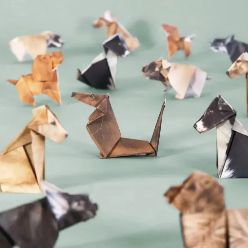 Creative DIY Origami Paper Set - огляд і ціна Art Craft Dinosaur