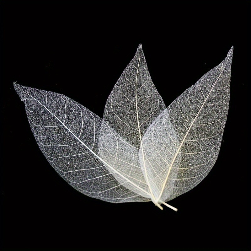10pcs Art Deco Wooden Leaf Vei - огляд і ціна Art Craft Leaves