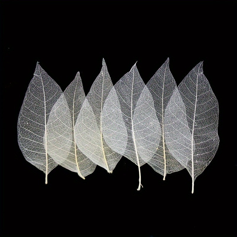 10pcs Art Deco Wooden Leaf Vei - огляд і ціна Art Craft Leaves