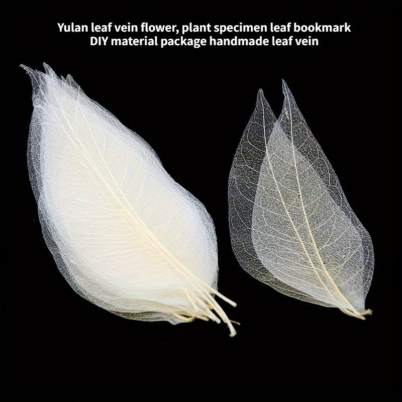 10pcs Art Deco Wooden Leaf Vei - огляд і ціна Art Craft Leaves