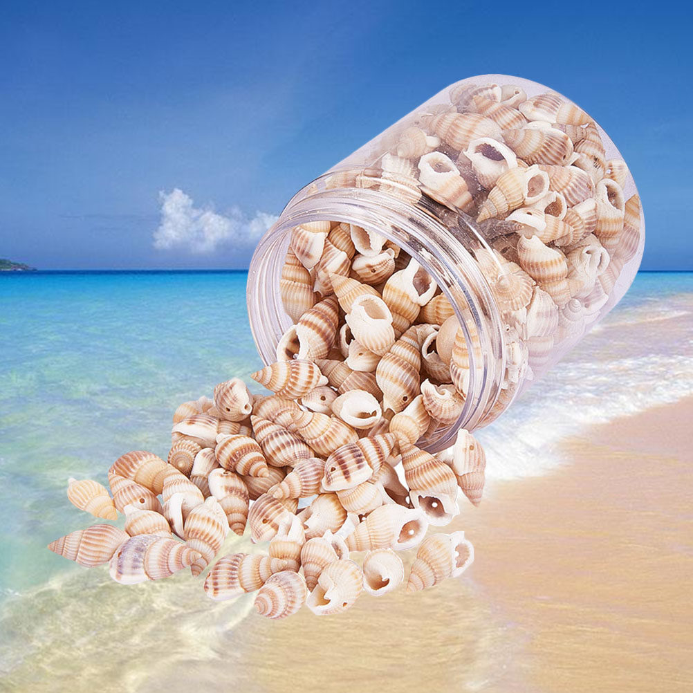 1 Box Natural Seashells Craft  - огляд і ціна Art Craft Gallery
