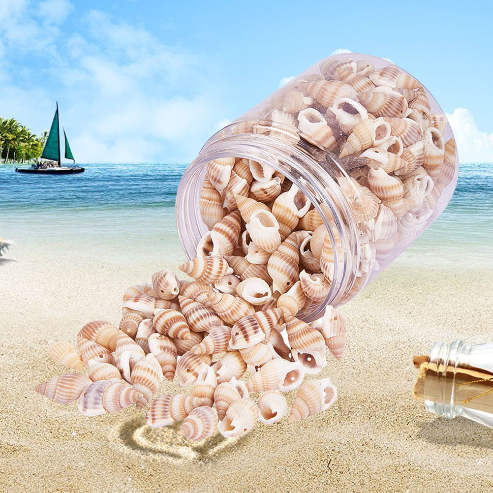 1 Box Natural Seashells Craft  - огляд і ціна Art Craft Gallery